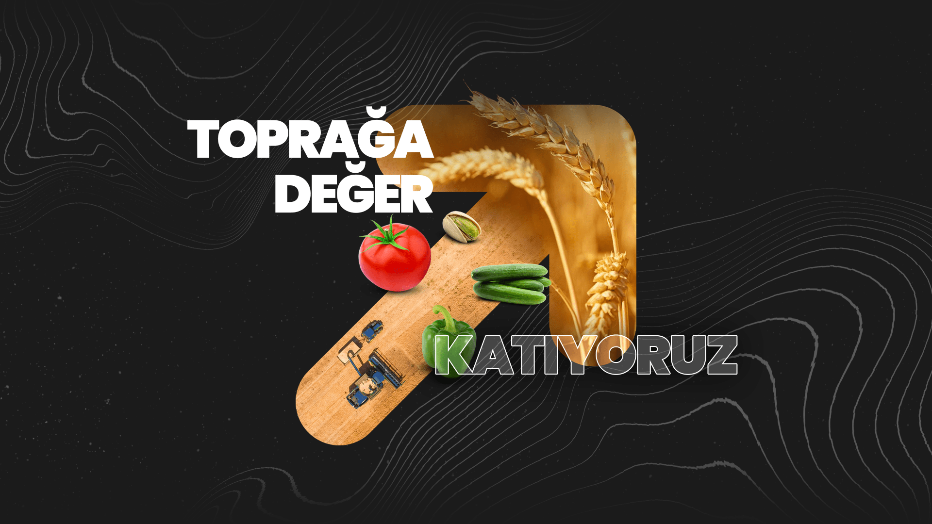 Bitkiyi korur, destekler, verimliliği artırır